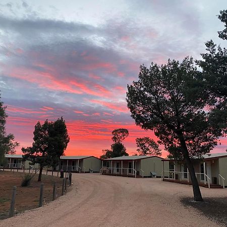 Mungo Lodge Dış mekan fotoğraf