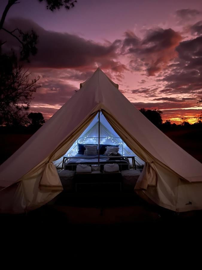 Mungo Lodge Dış mekan fotoğraf