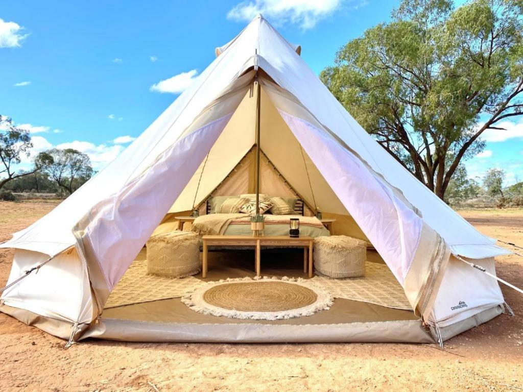 Mungo Lodge Dış mekan fotoğraf