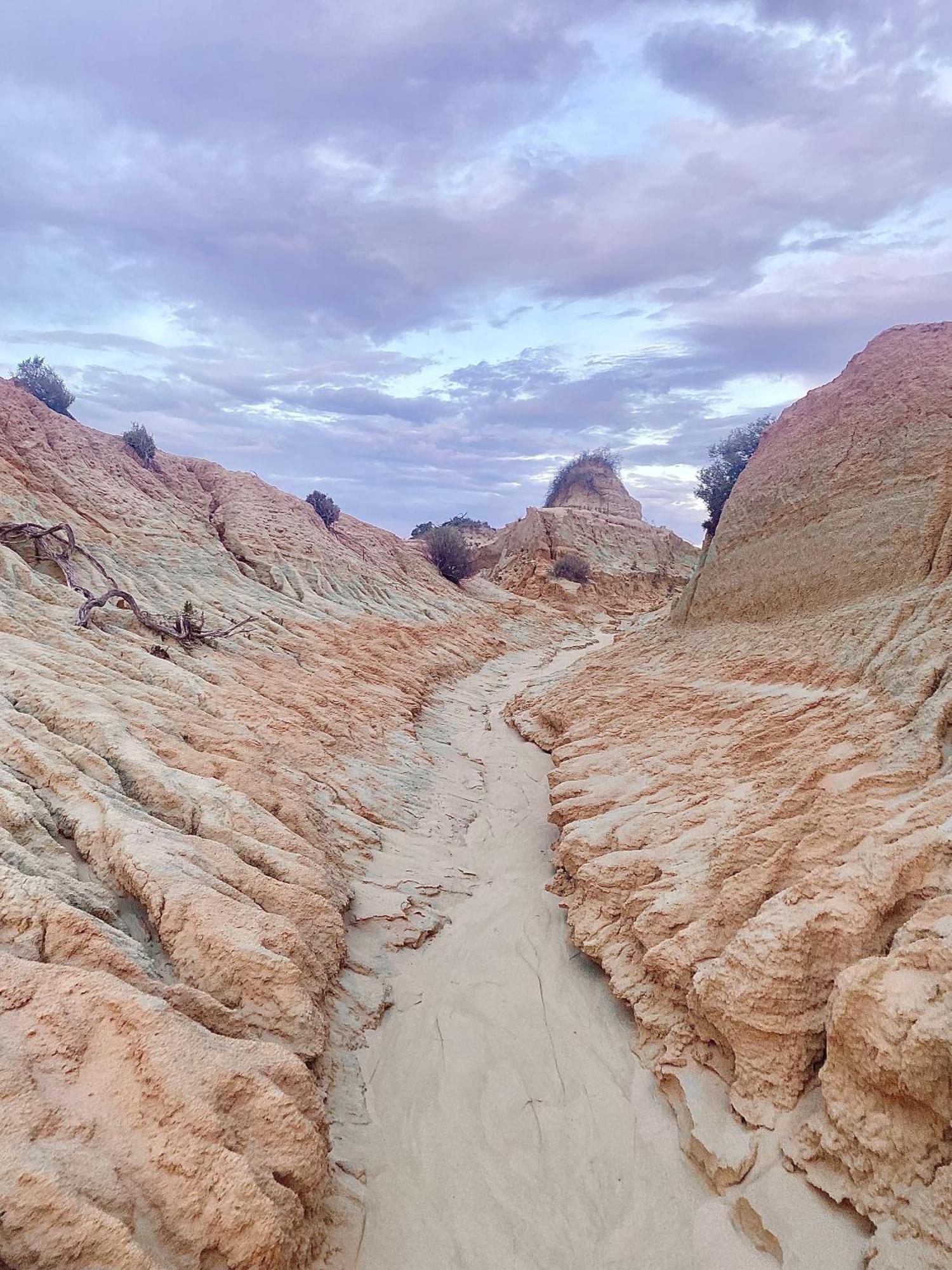Mungo Lodge Dış mekan fotoğraf