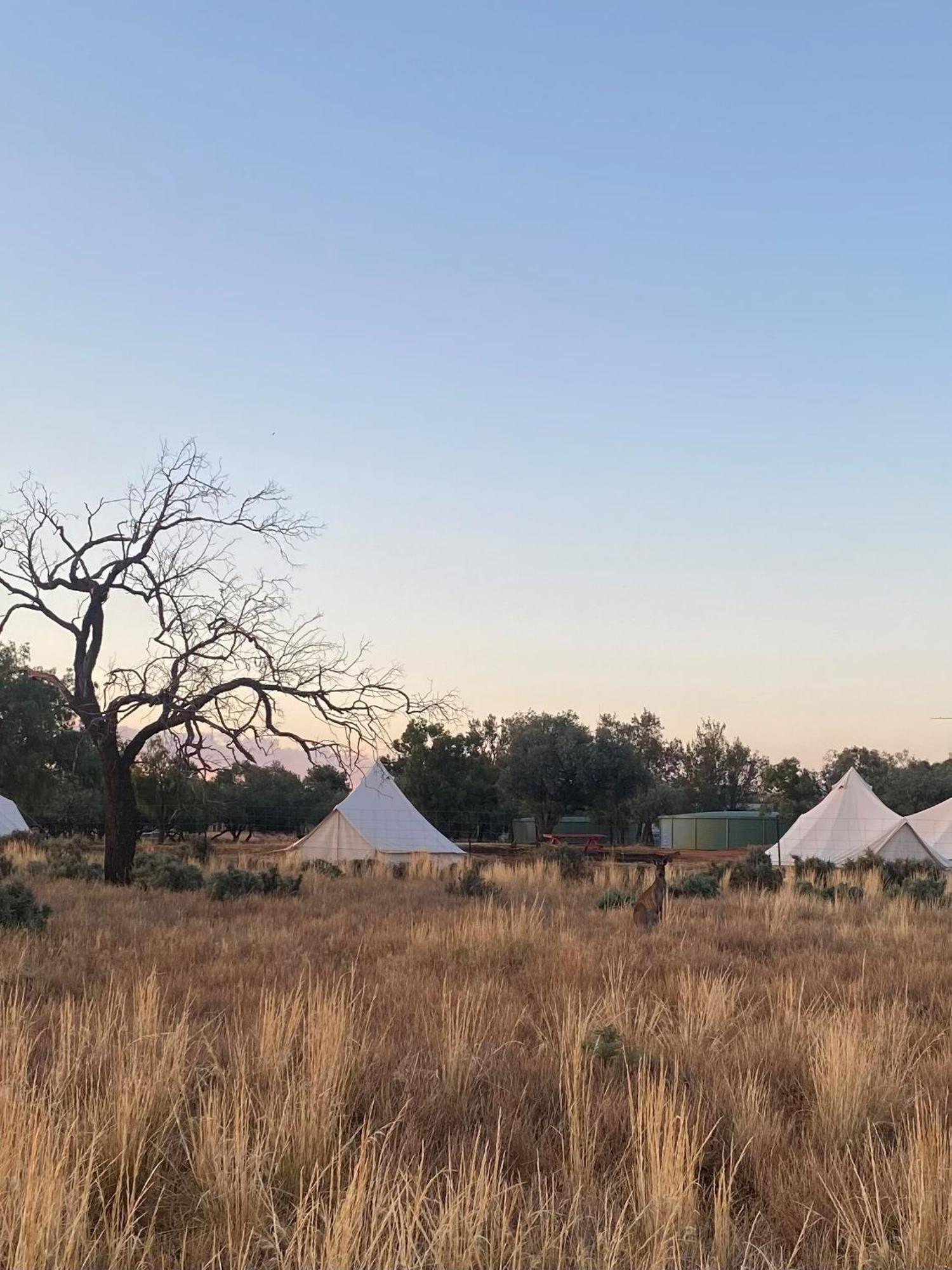 Mungo Lodge Dış mekan fotoğraf
