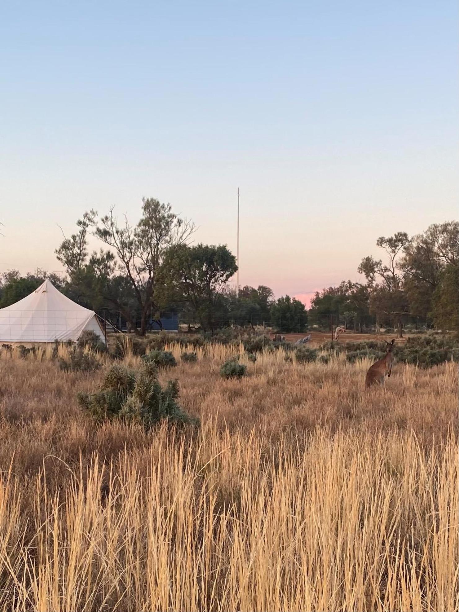 Mungo Lodge Dış mekan fotoğraf