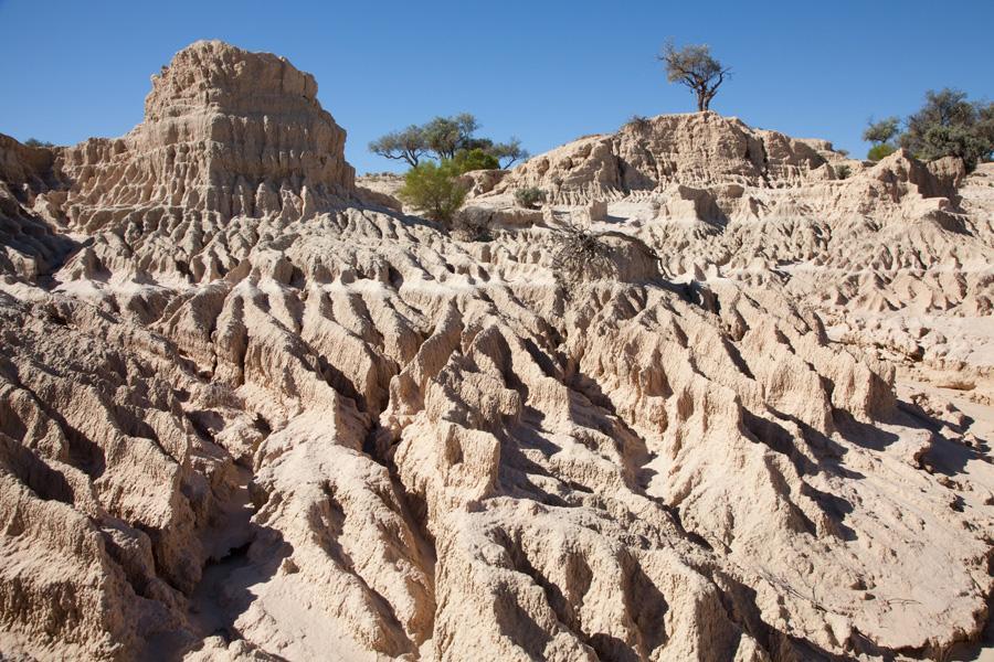 Mungo Lodge Dış mekan fotoğraf