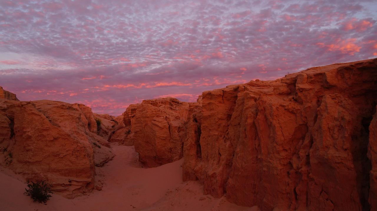 Mungo Lodge Dış mekan fotoğraf