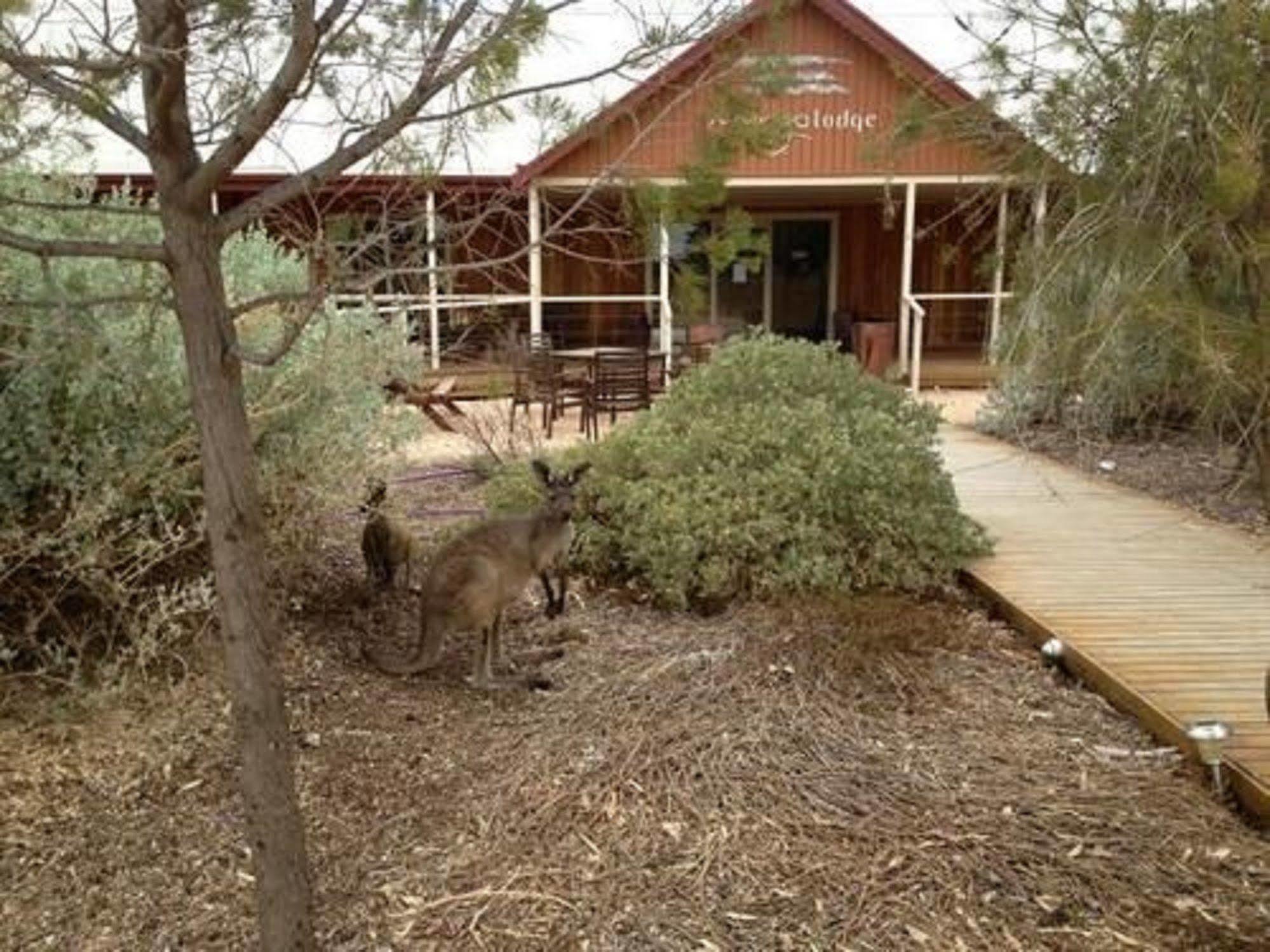 Mungo Lodge Dış mekan fotoğraf